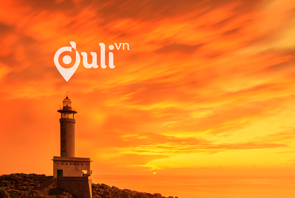DULI Brand Identity